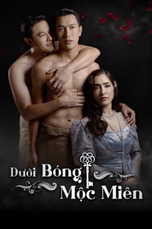 Dưới Bóng Mộc Miên Dưới Bóng Mộc Miên