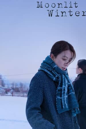 Moonlit Winter Moonlit Winter