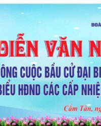 Hội Diễn Văn Nghệ Cẩm Tân