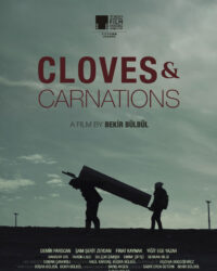 Đinh Hương Và Cẩm Chướng