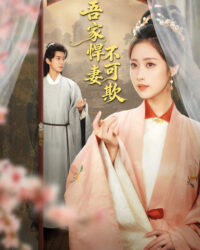 Hãn Thê Nhà Tôi Không Dễ Chọc