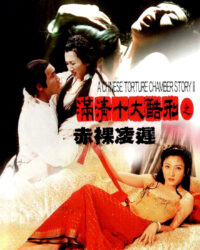 A Chinese Torture Chamber Story II