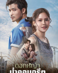 A Wildflower in the City