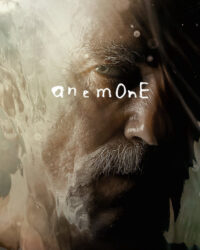 Anemone Anemone