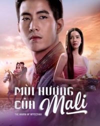 Mùi Hương Của Mali
