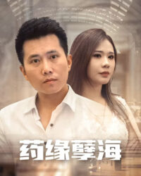 Báo Thù Của Thần Y (Chàng Rể Thầy Thuốc)