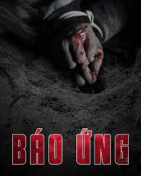 Báo Ứng Báo Ứng