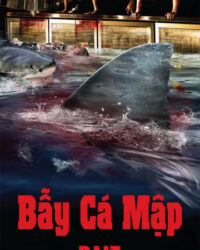 Bẫy Cá Mập