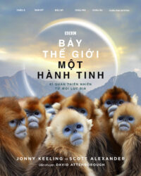 Bảy Thế Giới, Một Hành Tinh