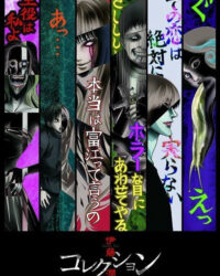 Bộ sưu tập của Ito Bộ sưu tập của Ito