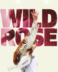 Bông Hồng Hoang Dại Bông Hồng Hoang Dại