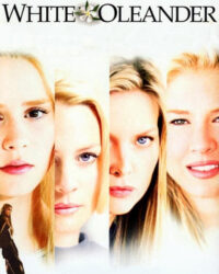 Bụi Trúc Đào Trắng Bụi Trúc Đào Trắng