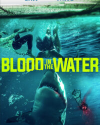 Cá Mập Dưới Nước