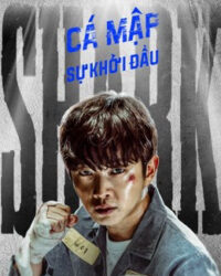 Cá Mập: Sự Khởi Đầu