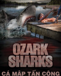 Cá Mập Tấn Công