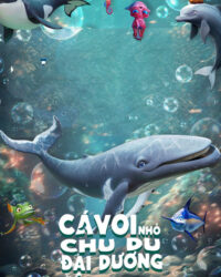 Cá Voi Nhỏ Chu Du Đại Dương