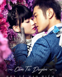 Cẩm Tú Duyên Hoa Lệ Mạo Hiểm