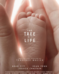 Cây Đời Cây Đời