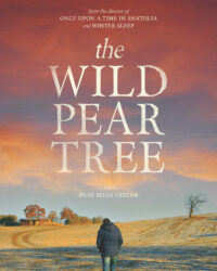 Cây Lê Dại Cây Lê Dại