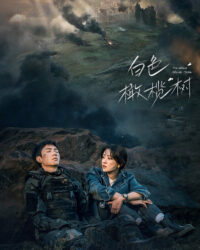 Cây Ô Liu Màu Trắng Cây Ô Liu Màu Trắng