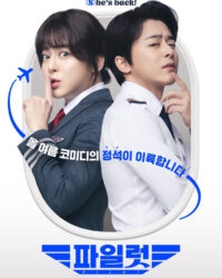 Chàng Nữ Phi Công