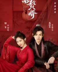 Chàng Rể Hai Mặt Chàng Rể Hai Mặt