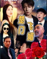 Chàng Rể Thần Y