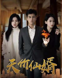 Chàng Rể Thiên Kim