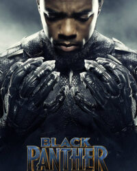 Chiến Binh Báo Đen