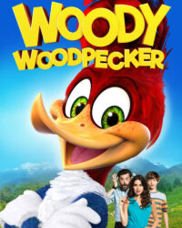 Chim Gõ Kiến Woody