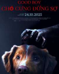 Chó Cưng Đừng Sợ