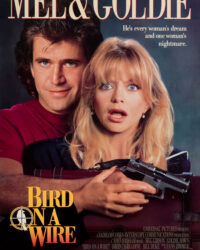 Chú chim trên dây