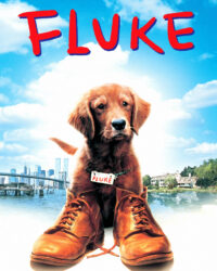 Chú Chó Fluke Chú Chó Fluke