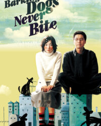 Chú Chó Mất Tích