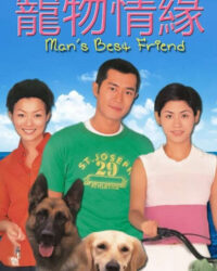 Chú Chó Thông Minh