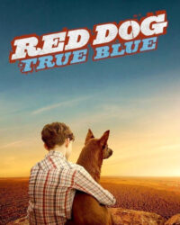 Chú Chó Trung Thành 2