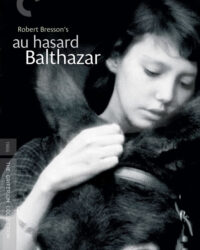 Chú Lừa Balthazar