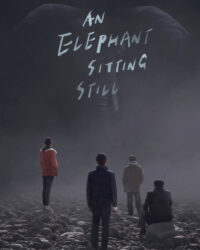 Chú Voi Ngồi Im Trên Đất