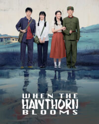 Chuyện Tình Cây Sơn Tra