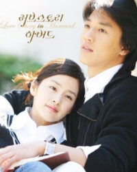 Chuyện Tình Havard