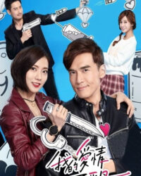 Chuyện Tình Ngược Lối – The Masked Lover