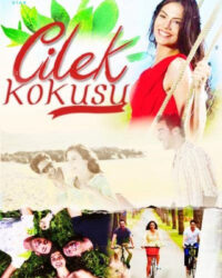 Cilek Kokusu