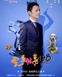 Cô Vợ Giả Hoàn Hảo