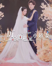 Cô Vợ Nhỏ Được Cưng Chiều Của Tổng Giám Đốc Lệ