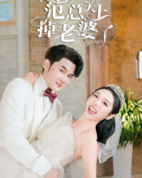 Cô Vợ Trên Trời Rơi Xuống Của Phạm Tổng