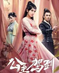 Công Chúa Tinh Nghịch