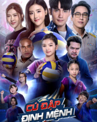 Cú Đập Định Mệnh