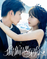 Cứ Thế Mà Gặp Em