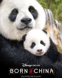 Cuộc Sống Hoang Dã Ở Trung Quốc