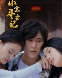 Cuộc Tìm Vợ Của Tiểu Bảo Cuộc Tìm Vợ Của Tiểu Bảo